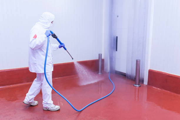 Best Commercial Pressure Washing in Wahneta, FL